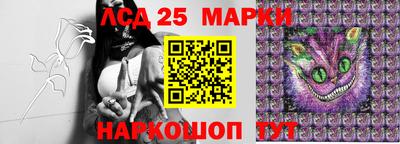 спиды Краснодар