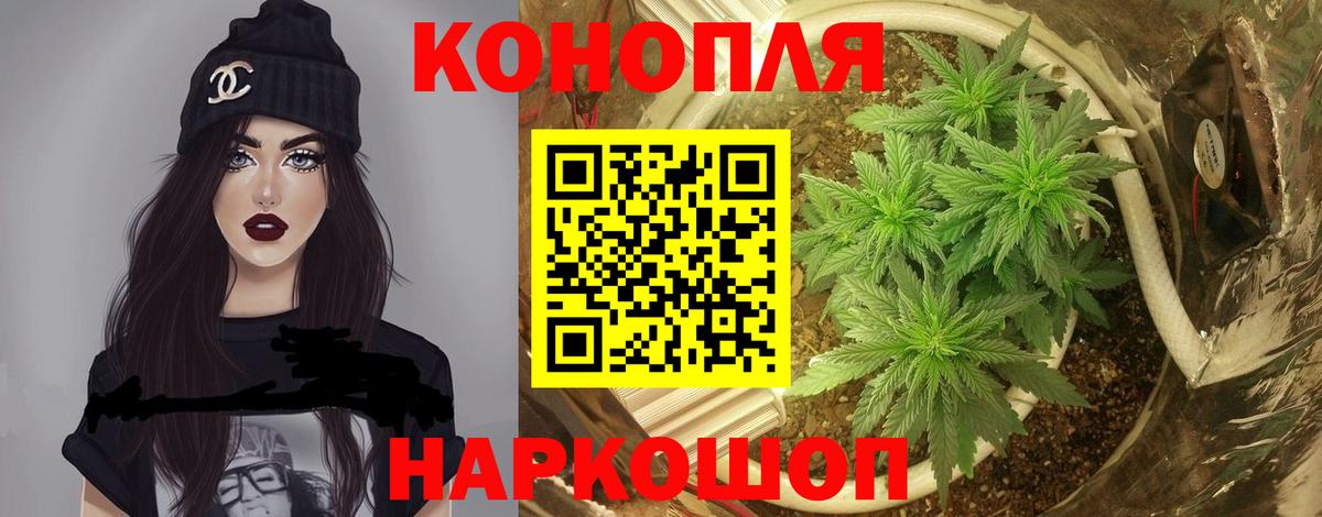 Конопля семена  Вход с VPN  Бошки марихуана ГИДРОПОН  Бошки Шишки марихуана  Конопля THC 21%  Железногорск 